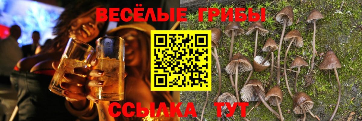 Меф Кулебаки