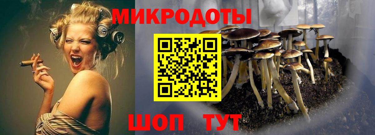 Псилоцибиновые грибы Magic Shrooms Кулебаки