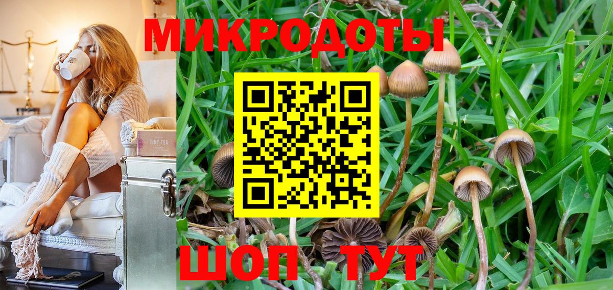 купить наркотик  Кулебаки  Галлюциногенные грибы Magic Shrooms 